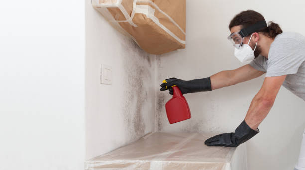 Professional Commercial Mold Remediation technician working in Exmore, VA