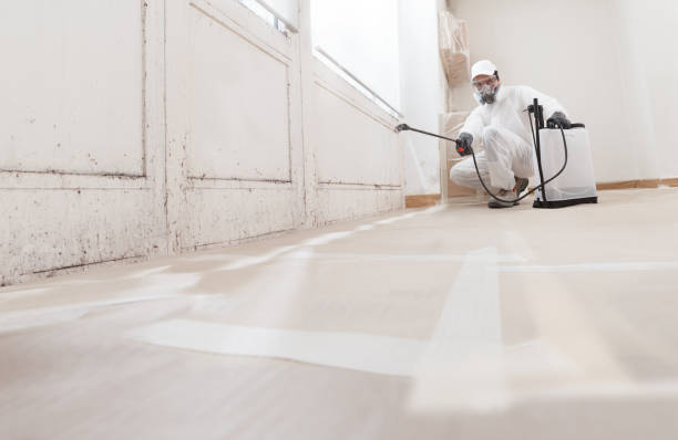 24/7 Emergency Commercial Mold Remediation experts in Exmore, VA